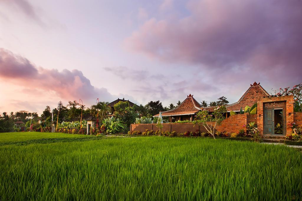Naya Ubud Dış mekan fotoğraf